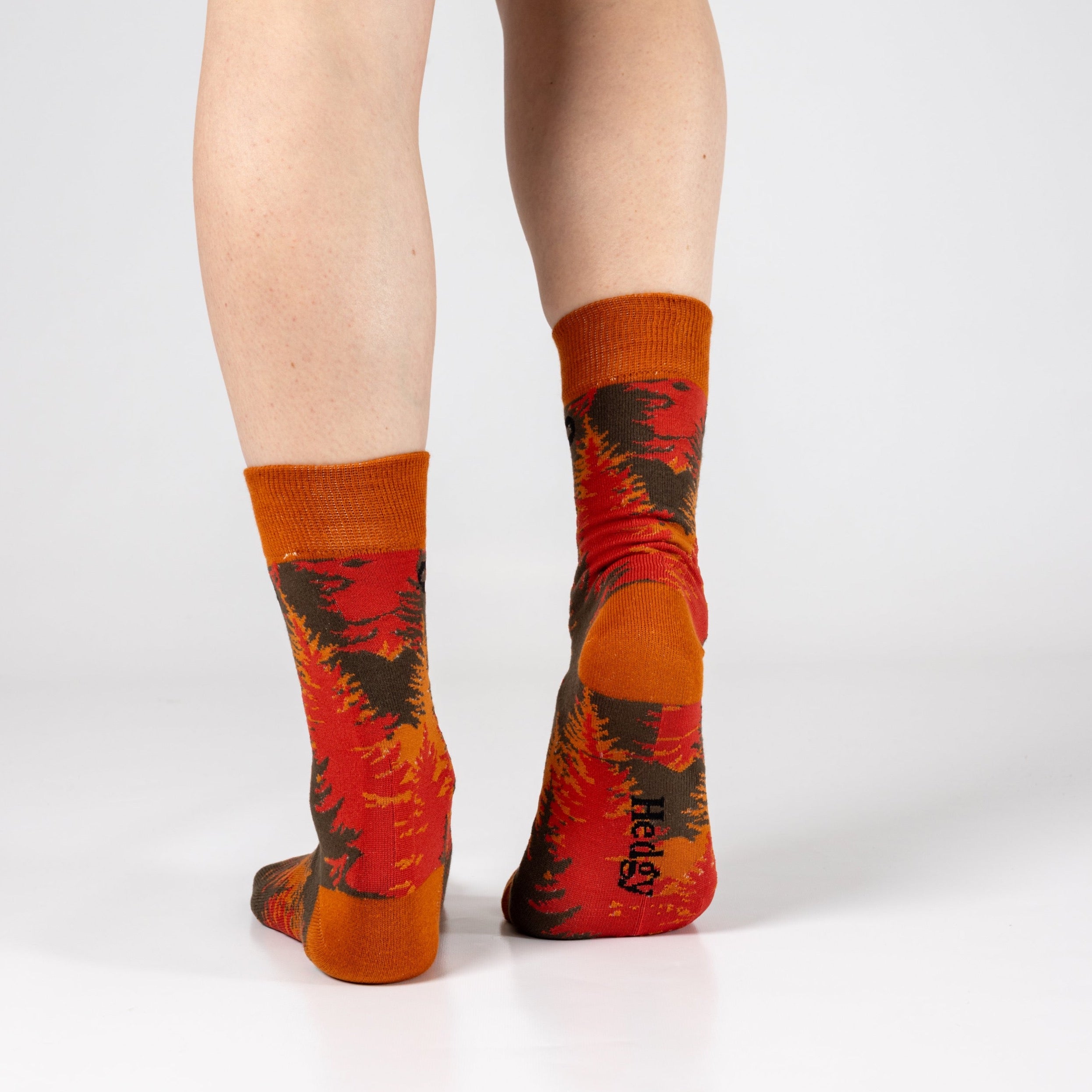 AUTUMN BAMBOO SOCKS - We Are Hedgy
